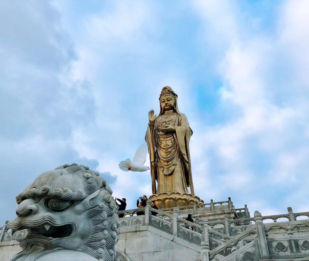 佛像采用新型仿金铜精铸,成为 "海天佛国"普陀山的地标.