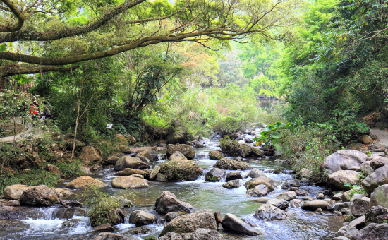 广东旅游必玩景点---厦门国旅推荐